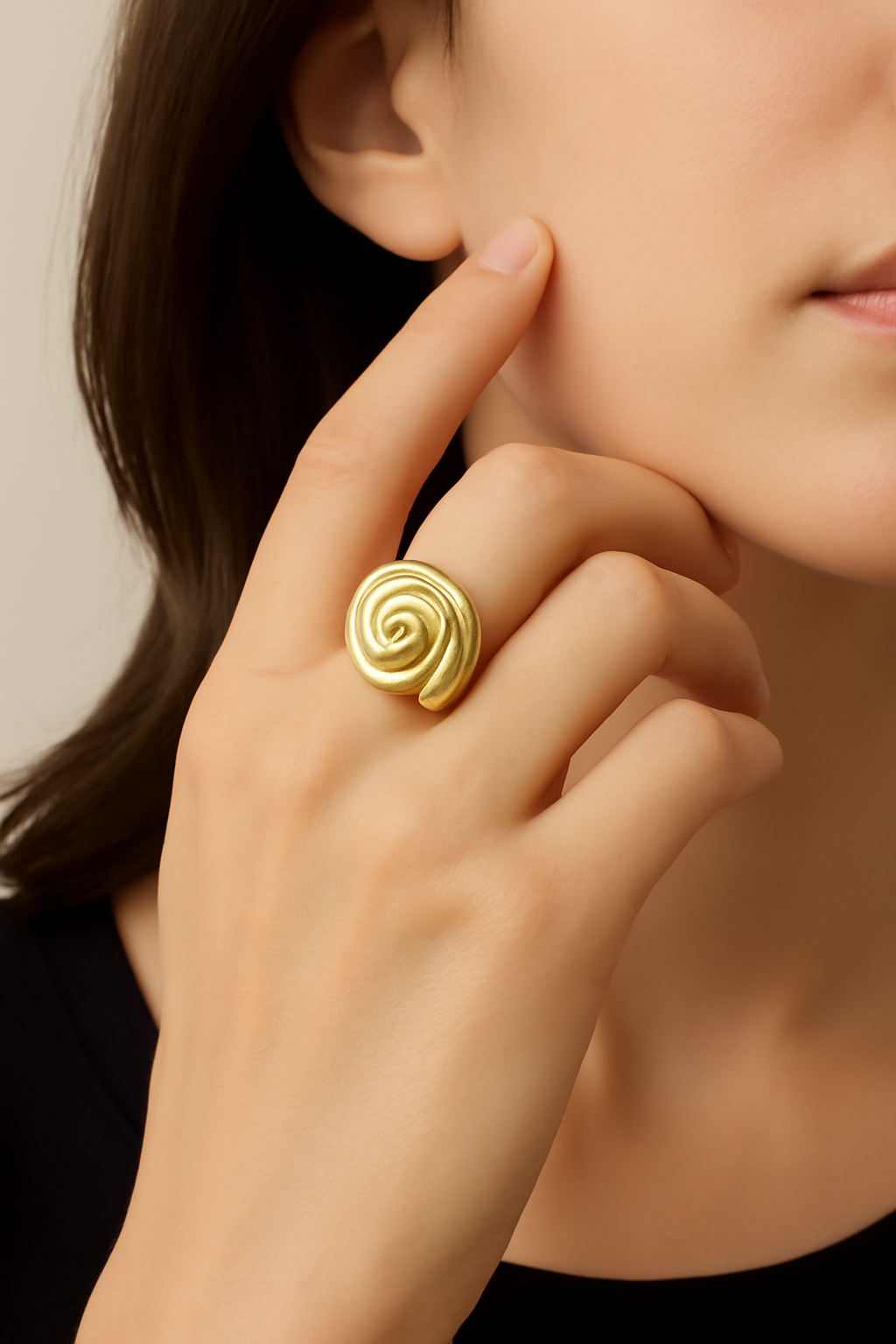 Classic Nautilus shell 5